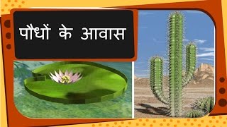 Science  Plant Habitat and adaptation  Hindi [upl. by Arlon]