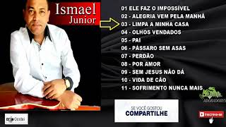 ISMAEL JUNIOR CD COMPLETO [upl. by Yona]