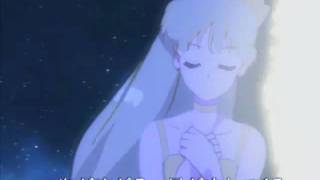 Codename wa Sailor V opening latino [upl. by Nowd410]