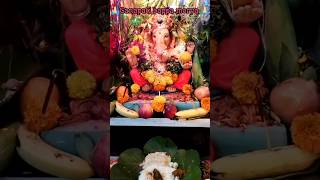 🙏🏻My Home Vinayakudu 🙏🏻Ganapati Bappa Morya 🙏🏻 music viral trending ganesh [upl. by Lyndsay]