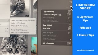 Lightroom features you should know about followed by 5 Classic Develop Tips you should know [upl. by Eyllom]