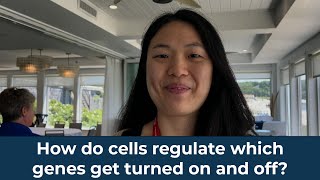 How do cells regulate which genes get turned on and off [upl. by Eedrahs232]