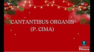 quotCANTANTIBUS ORGANISquot P CIMA DEDICADO A SANTA CECILIA [upl. by Mairym249]