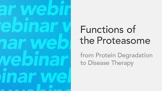 Functions of the Proteasome From Protein Degradation to Disease Therapy [upl. by Ellicott]