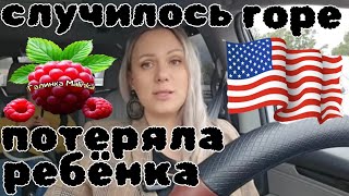 Лиса в Америке Случилось горе Потеряла ребёнка Обзор Funny 4 Big Big Family Жизнь в США [upl. by Llerred]