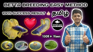 Betta Fish Breeding in Tamil  Must Watch 😇  தமிழ்  Wonder Aqua Garden [upl. by Noirrad]