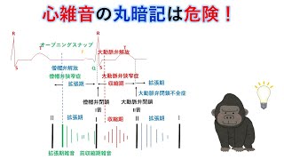 国試対策：暗記からの卒業 20話 心雑音のタイミング [upl. by Wildermuth]