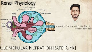 Glomerular Filtration Rate GFR  renal physiology  বাংলা [upl. by Reamy]