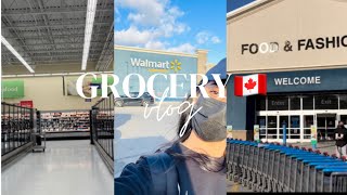 Grocery shopping in Canada 🇨🇦 Walmart is cheapest for daily grocery  low prices in 2022 [upl. by Hock]