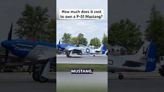 It costs how much to own a P51 Let’s show you an option that costs 110 the price airplane p51 [upl. by Anoyk]