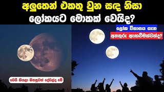 අලුතෙන් එකතු වෙන සඳ නිසා ලෝකයට මොනවා වෙයිද  Earths New Mini Moon [upl. by Ynnaf]