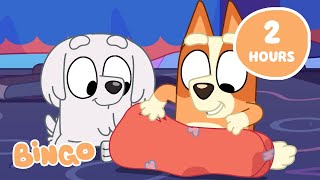 🔴LIVE Bingos Big Adventure 🤩🧡  Get Exploring with Bingo and Bluey 🌎  Bingo [upl. by Nodlew]