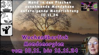 Wochenüberblick der Mondenergien vom 1011 bis 161124 [upl. by Nedgo]