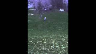 Grown man crashes down hill in baby stroller [upl. by Ardnasirhc]