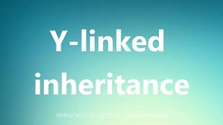 Ylinked inheritance  Medical Meaning and Pronunciation [upl. by Fish]