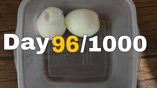 Day 961000 eating Eggs egg buildconsistencywithkophyo [upl. by Roma]