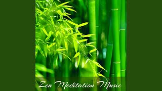 1 Hour Zen Music for Meditation Mindfulness and Relaxation Soothing Sounds [upl. by Elleb153]