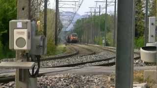 4 trains ter de la région PACA et 2 BB26000 a côté de Cavaillon dans le 84 Vaucluse le 200412 [upl. by Burrton76]