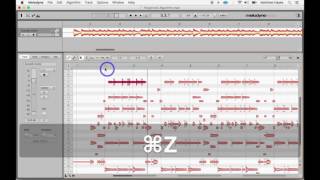 Melodyne Polyphonic Setting [upl. by Atat]