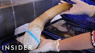 We Tried Geoduck — Worlds Biggest Burrowing Clam [upl. by Rramahs]