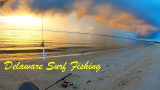 Delaware Surf Fishing  5 Species Caught [upl. by Anuaek]