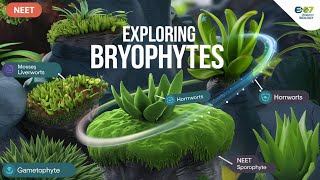 Plant kingdom class 11 Bryophytes Characteristics Life Cycle and Ecological Role [upl. by Martie795]