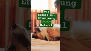 WAUfact 🚫🪱🐶DIYEntwurmung NATURAL🌿🍀 diy diyhundeleckerli hundegesundheit [upl. by Tonia]