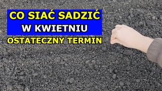 Siej W KWIETNIU te Warzywa to OSTATECZNY termin Co siać sadzić Kwiecień Kalendarz Ogrodnika Siewy [upl. by Kask]