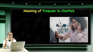 Concept of Trespass to Chattels Tort Law [upl. by Delaryd]