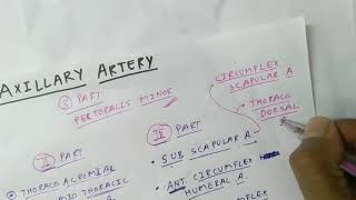 Axillary Artery Branches  Upper Limb Anatomy  TCML [upl. by Lleksah77]