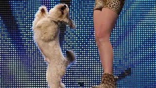 Ashleigh and Pudsey  Britains Got Talent 2012 audition  UK version [upl. by Pirbhai]