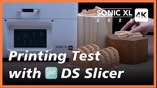 Sonic XL 4K 2022 Test Printing with DS slicer [upl. by Anhoj753]