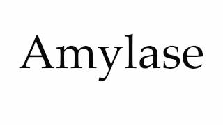 How to Pronounce Amylase [upl. by Bobina]