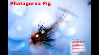 FLY TYING THE PHATAGORVA POT BELLIED PIG SALMON FLY WITH RYAN HOUSTON [upl. by Elodie]