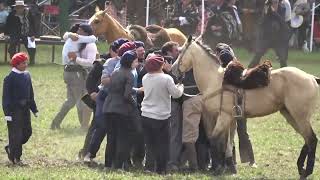 ‼️Final Prueba de Rienda Potros Talar 2024‼️🐎🛢️domadordecaballos pruebaderienda horse tradicion [upl. by Jochbed341]