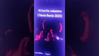 Mi burrito sabanero remix 2023 [upl. by Leede]