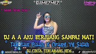 DJ A A AKU BERJUANG SAMPAI MATI X DJ TAKAN PISAH  ORANG YANG SALAH  DUGEM REMIX TERBARU 2024 [upl. by Neumeyer356]