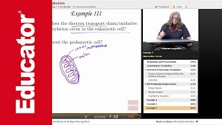 “Microbial Metabolism”  Microbiology with Educatorcom [upl. by Brigitta507]