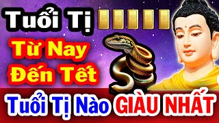 Tuổi Tỵ Từ Nay Đến Tết Năm 2024 Tuổi Tỵ Nào May Mắn Nhất Ăn Đậm Lộc Trời Tiền Về Chật Két [upl. by Atined496]