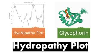 Hydropathy Plot  Introduction Transmembrane Proteins Hydropathy Index [upl. by Nosliw13]