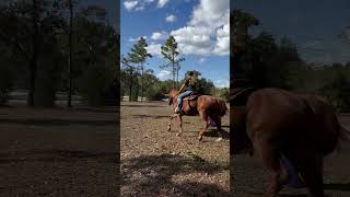 Raw of barrels horse rodeolifestyle horseenthusiast equestrian rodeotime horsefan horsegirl [upl. by Trainer]