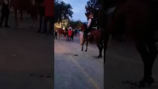 Horse Shortsvideomalayalam comedy [upl. by Landmeier]