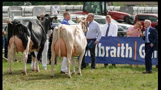 Ayr Show 2024 Dairy Interbreed ClassHolstein Clydeview Sidekick Matilda vs Ayrshire Morwick Peggy [upl. by Fadas]