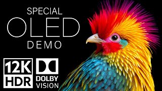 12K HDR Video ULTRA HD 120fps Dolby Vision  Special Oled Demo [upl. by Noslen]