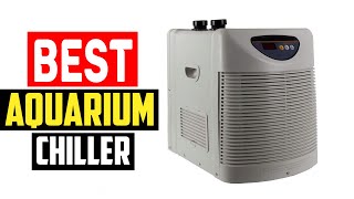 ✅Best Aquarium Chiller in 2023 [upl. by Maje]