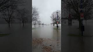 Mühlenweide Duisburg unter Wasser hochwasser rhein zoltan regen ruhrgebiet walkthrough [upl. by Ayit]