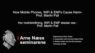 Hur mobilstrålning WiFi amp EMF skadar oss Prof Martin Pall  How WiFi amp EMFs Cause Harm [upl. by Abihsot]