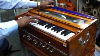 Harmonium BINA no 30B 20110302 [upl. by Regnij]