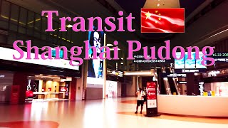 【Airport Tour】2024 How to Transit at Shanghai Pudong Airport Terminal 1 [upl. by Morgan]