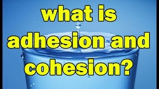 What is Adhesion and Cohesion forces in hindi  Explain Adhesion and Cohesion Forces [upl. by Ahsienet]